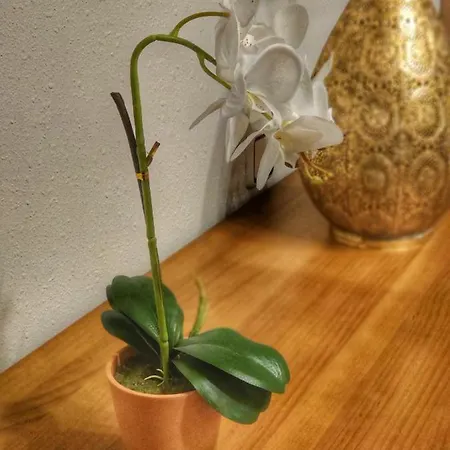 Appartamento Namaste Avilés Esterno foto